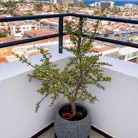 Apartament Pequeno Nido Maspalomas (Gran Canaria)